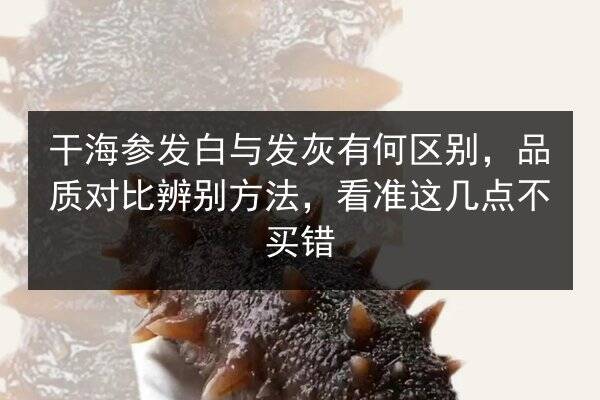 干海参发白与发灰有何区别,品质对比辨别方法,看准这几点不买错
