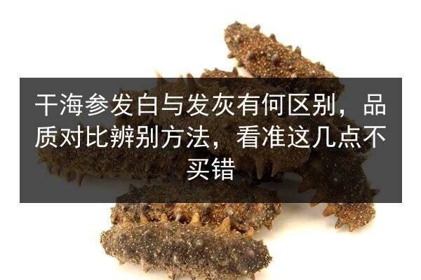 干海参发白与发灰有何区别,品质对比辨别方法,看准这几点不买错