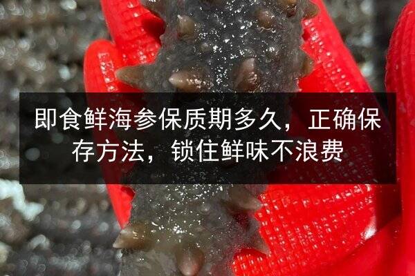 即食鲜海参保质期多久,正确保存方法,锁住鲜味不浪费