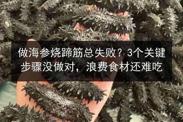 做海参烧蹄筋总失败?3个关键步骤没做对,浪费食材还难吃