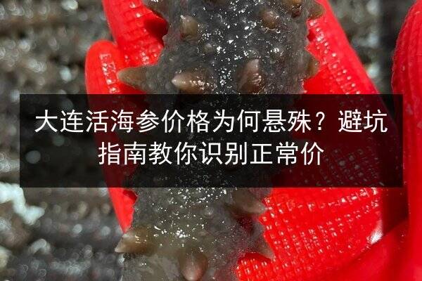 大连活海参价格为何悬殊？避坑指南教你识别正常价