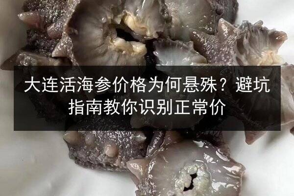 大连活海参价格为何悬殊？避坑指南教你识别正常价