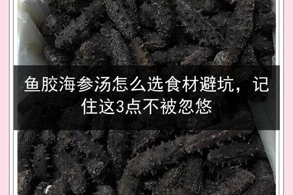 鱼胶海参汤怎么选食材避坑,记住这3点不被忽悠