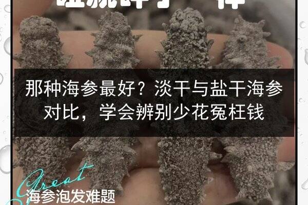那种海参最好？淡干与盐干海参对比，学会辨别少花冤枉钱