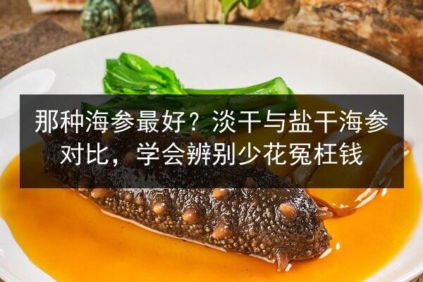 那种海参最好？淡干与盐干海参对比，学会辨别少花冤枉钱