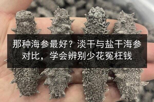 那种海参最好？淡干与盐干海参对比，学会辨别少花冤枉钱