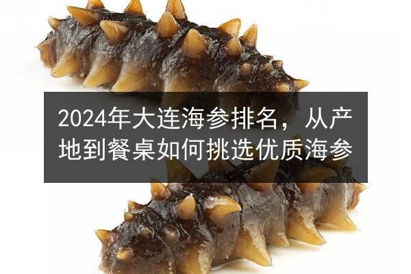 2024年大连海参排名,从产地到餐桌如何挑选优质海参