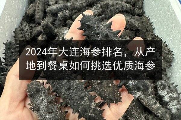 2024年大连海参排名,从产地到餐桌如何挑选优质海参