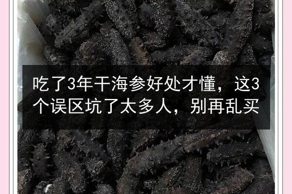 吃了3年干海参好处才懂,这3个误区坑了太多人,别再乱买