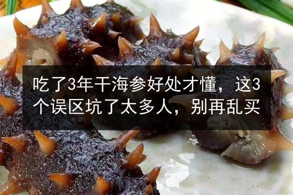 吃了3年干海参好处才懂,这3个误区坑了太多人,别再乱买