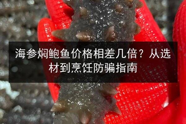 海参焖鲍鱼价格相差几倍？从选材到烹饪防骗指南