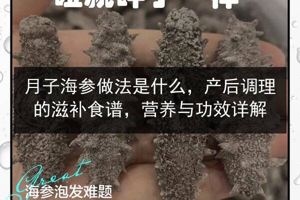 月子海参做法是什么,产后调理的滋补食谱,营养与功效详解