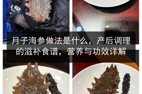 月子海参做法是什么,产后调理的滋补食谱,营养与功效详解