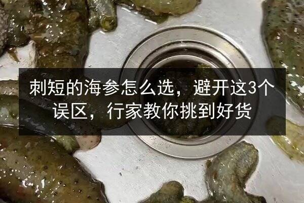 刺短的海参怎么选,避开这3个误区,行家教你挑到好货
