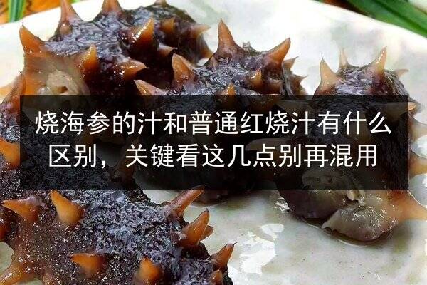 烧海参的汁和普通红烧汁有什么区别，关键看这几点别再混用