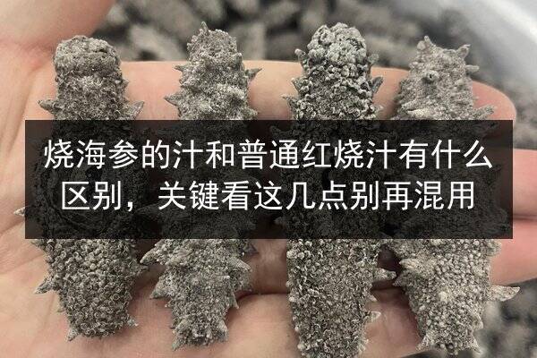 烧海参的汁和普通红烧汁有什么区别，关键看这几点别再混用