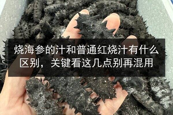 烧海参的汁和普通红烧汁有什么区别，关键看这几点别再混用