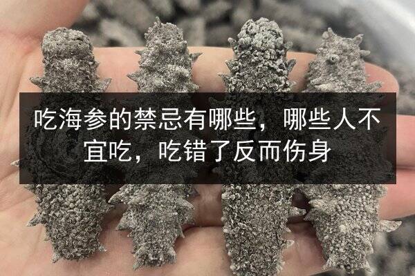 吃海参的禁忌有哪些，哪些人不宜吃，吃错了反而伤身