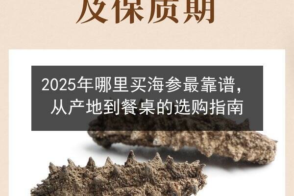 2025年哪里买海参最靠谱，从产地到餐桌的选购指南