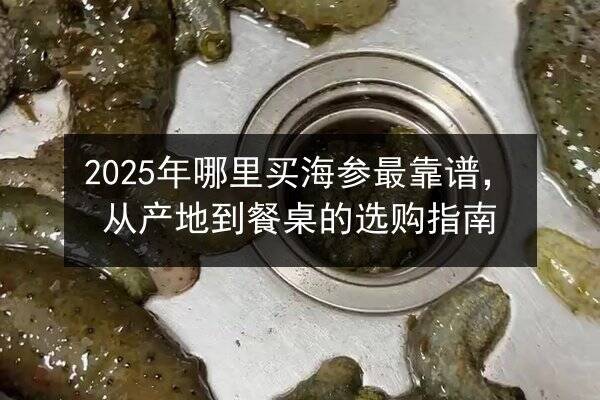 2025年哪里买海参最靠谱，从产地到餐桌的选购指南