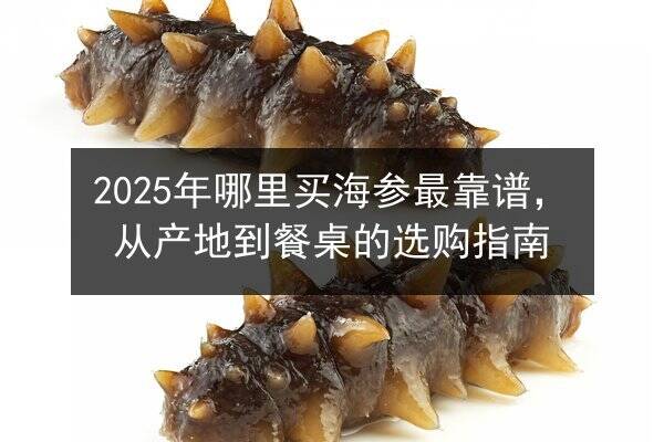 2025年哪里买海参最靠谱，从产地到餐桌的选购指南