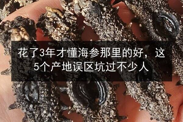 花了3年才懂海参那里的好，这5个产地误区坑过不少人