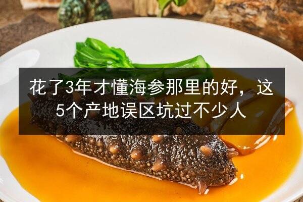 花了3年才懂海参那里的好，这5个产地误区坑过不少人