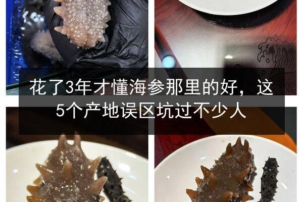 花了3年才懂海参那里的好，这5个产地误区坑过不少人