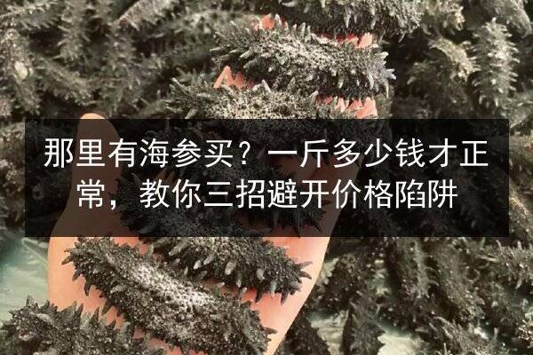 那里有海参买?一斤多少钱才正常,教你三招避开价格陷阱