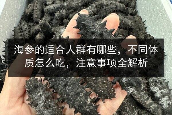 海参的适合人群有哪些，不同体质怎么吃，注意事项全解析