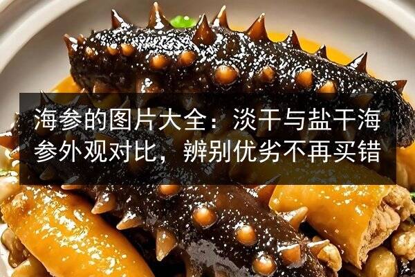 海参的图片大全:淡干与盐干海参外观对比,辨别优劣不再买错