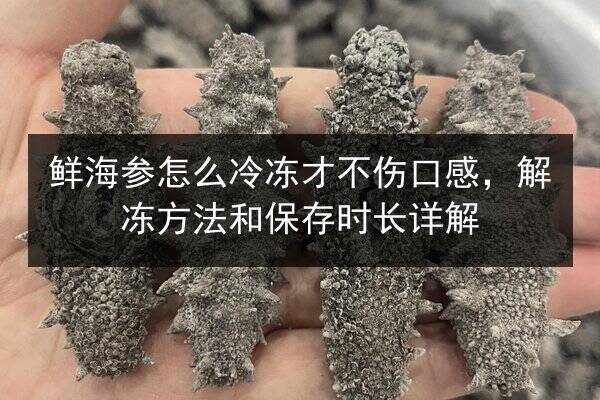 鲜海参怎么冷冻才不伤口感，解冻方法和保存时长详解