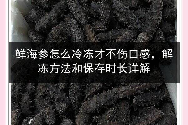 鲜海参怎么冷冻才不伤口感，解冻方法和保存时长详解
