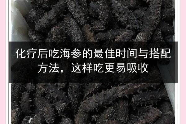 化疗后吃海参的最佳时间与搭配方法,这样吃更易吸收
