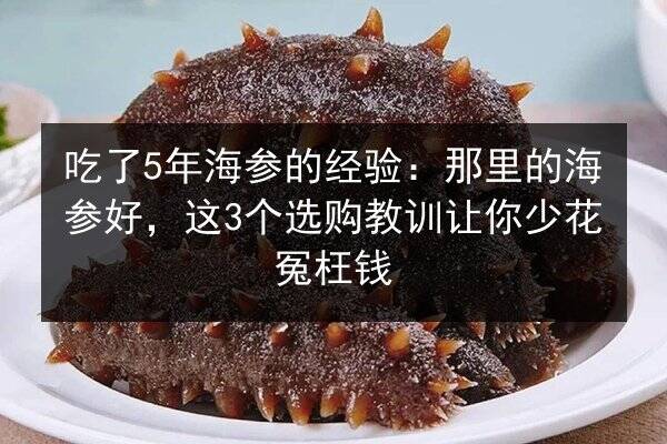 吃了5年海参的经验：那里的海参好，这3个选购教训让你少花冤枉钱