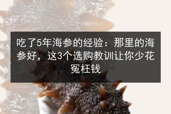 吃了5年海参的经验：那里的海参好，这3个选购教训让你少花冤枉钱