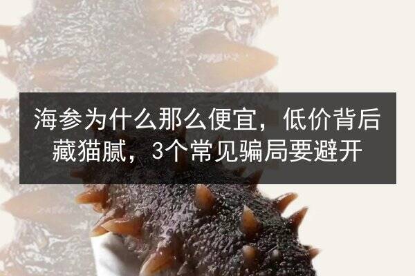 海参为什么那么便宜,低价背后藏猫腻,3个常见骗局要避开