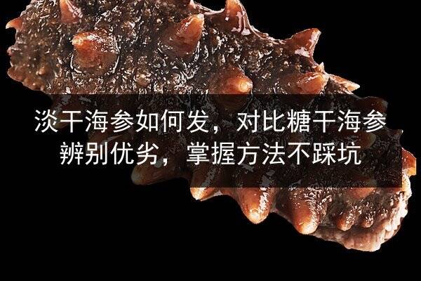 淡干海参如何发,对比糖干海参辨别优劣,掌握方法不踩坑