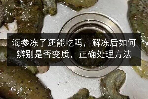 海参冻了还能吃吗,解冻后如何辨别是否变质,正确处理方法