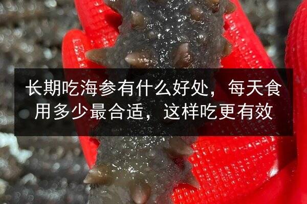 长期吃海参有什么好处,每天食用多少最合适,这样吃更有效