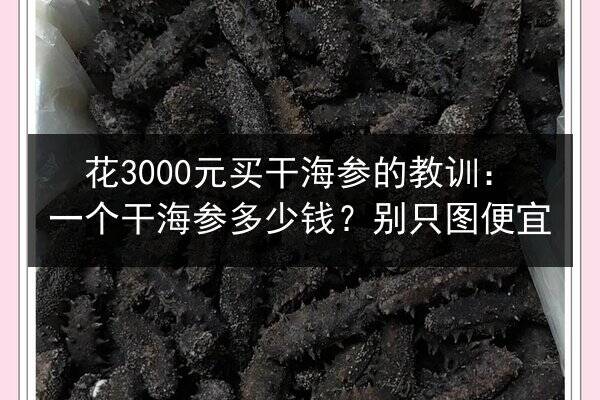 花3000元买干海参的教训：一个干海参多少钱？别只图便宜