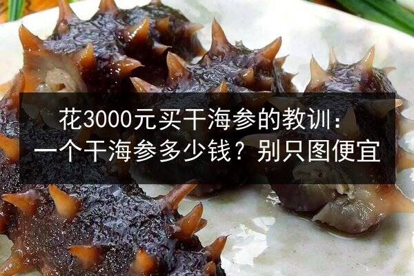 花3000元买干海参的教训：一个干海参多少钱？别只图便宜