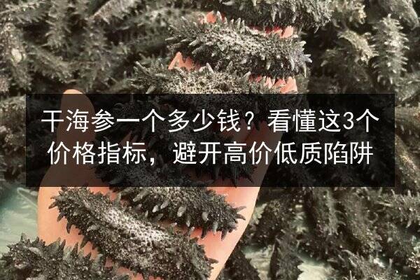 干海参一个多少钱?看懂这3个价格指标,避开高价低质陷阱