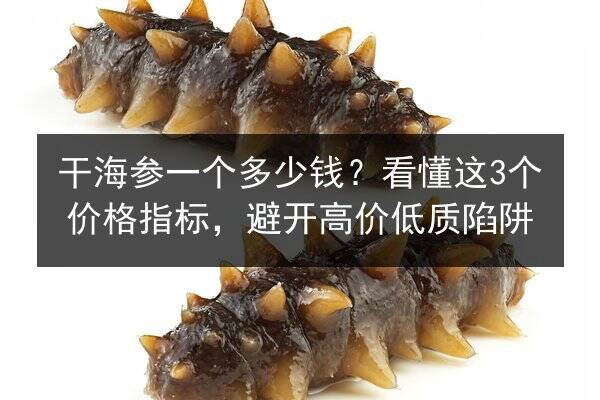 干海参一个多少钱?看懂这3个价格指标,避开高价低质陷阱