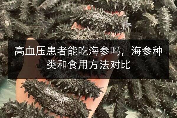 高血压患者能吃海参吗,海参种类和食用方法对比