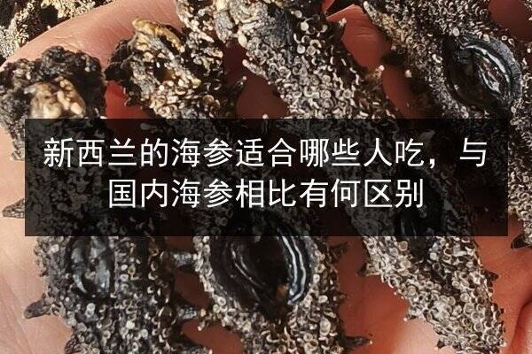 新西兰的海参适合哪些人吃,与国内海参相比有何区别