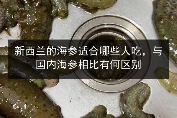 新西兰的海参适合哪些人吃,与国内海参相比有何区别