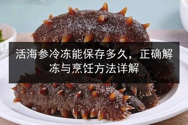 活海参冷冻能保存多久，正确解冻与烹饪方法详解