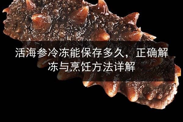 活海参冷冻能保存多久，正确解冻与烹饪方法详解