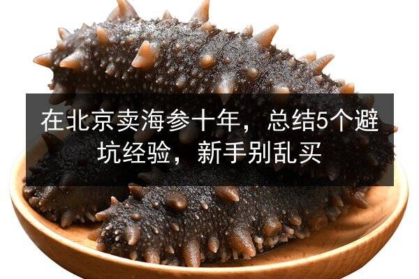 在北京卖海参十年，总结5个避坑经验，新手别乱买